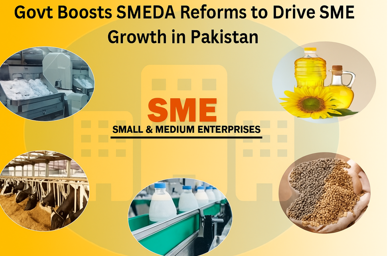 Pakistan government reforms SMEDA for small and medium enterprises growth | Land in Pakistan