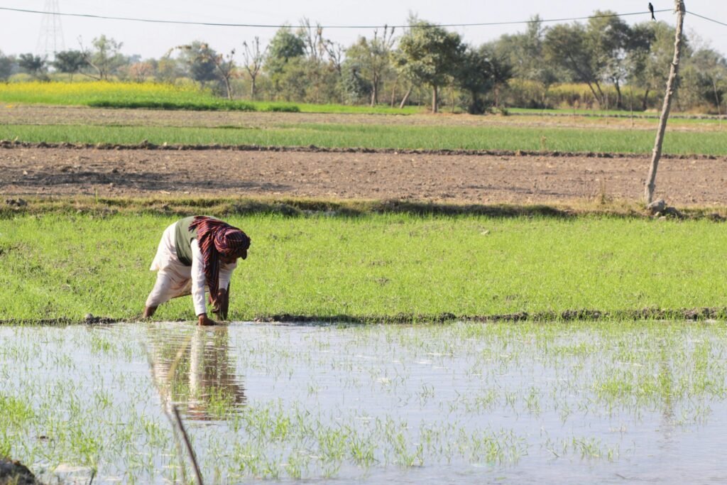 A Farmer working in the Field