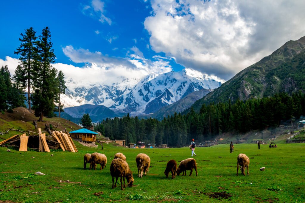 Landscape of Fairy Meadows